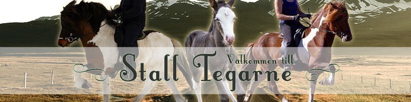  Stall Tegarne